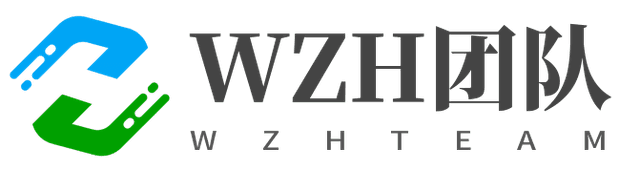 WZH团队